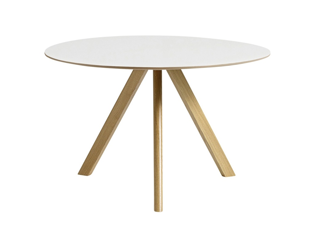 Carouge | Round & white wooden low table